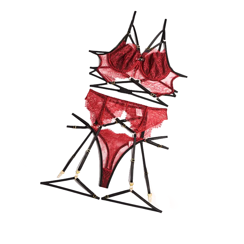 Nieuwe Kant Sexy Lingerie Tran - Sheer Bra Lace recensie en prijs